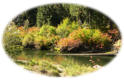 the rogue river south of union creek on the crater lake hwy.