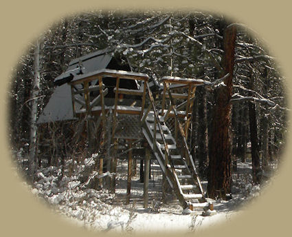 cabins on the river at gathering light ... a retreat near crater lake national park in southern oregon: cabins, treehouses on the river in the forest.