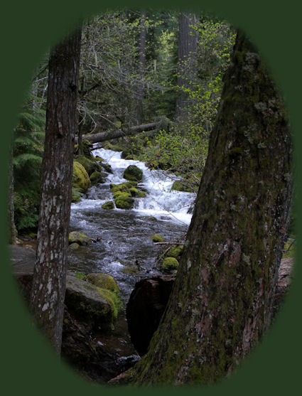 hiking the trail to watson waterfall on the wild and scenic umpqua river in the cascade mountains of oregon; enjoy camping in the umpqua national forest and hiking trails to waterfalls in the wild and scenic umpqua river watershedt: brice creek waterfalls, moon waterfalls, pinard waterfalls, spirit falls; hiking trails off the Rogue Umpqua Scenic byway on the wild and scenic umpqua river in the umpqua national forest: toketee waterfalls, watson falls hiking trails, fall creek falls, susan creek day use area, susan creek hiking trails, susan creek campgrounds off the rogue umpqua scenic byway, toketee campgrounds off the rogue umpqua scenic byway, lemolo campgrounds off the rogue umpqua scenic byway, diamond lake campgrounds, boulder creek campgrounds, canyon creek campgrounds, umpqua national forest campgrounds, clearwater falls campgroud, island campgrounds, lake in the woods campgrounds, bogus creek campgrounds, apple creek campground, steamboat falls campground, williams creek and eagle rock campgrounds, horseshoe bend and canton creek campgrounds, devil's campground on cow creek, cedar creek campground on brice creek, rujada campground on layng creek, whitehorse falls and clearwater falls campgrounds, susan creek waterfalls, north umpqua river, medicine creek native pictorgraphs, indian pictographs, south umpqua river, umpqua river hiking trails accessed off the rogue umpqua scenic byway, forest service campgrounds, blm campgrounds, cavitt creek recreation area, deadline falls, steelhead in the umpqua river, angling, hiking trails to lemolo waterfalls, clearwater waterfalls, whitehorse waterfalls, clearwater river, toketee lake, umpqua hot springs, steamboat creek waterfalls, warm springs waterfalls, lemolo lake; hiking trails on the little river in the umpqua river watershed in the umpqua national forest: wolf creek waterfalls, grotto falls, hemlock waterfalls, hemlock lake, cavitt creek waterfalls, recreation area, shadow waterfalls, yakso waterfalls; hiking trails on the south umpqua river watershed: south umpqua waterfalls, campbell waterfalls, hiking trails in theboulder creek wilderness area, hiking trails in the mt thielsen rogue umpqua divide wilderness area, cathedral waterfalls off the south umpqua river; hiking trails in the row river watershed: moon, spirit and pinard waterfalls.