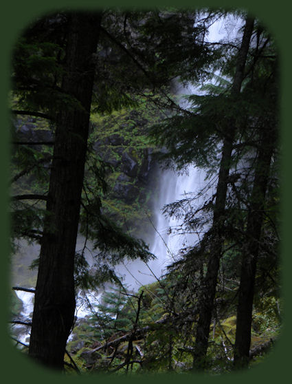 hiking the trail to watson waterfall on the wild and scenic umpqua river in the cascade mountains of oregon; enjoy camping in the umpqua national forest and hiking trails to waterfalls in the wild and scenic umpqua river watershedt: brice creek waterfalls, moon waterfalls, pinard waterfalls, spirit falls; hiking trails off the Rogue Umpqua Scenic byway on the wild and scenic umpqua river in the umpqua national forest: toketee waterfalls, watson falls hiking trails, fall creek falls, susan creek day use area, susan creek hiking trails, susan creek campgrounds off the rogue umpqua scenic byway, toketee campgrounds off the rogue umpqua scenic byway, lemolo campgrounds off the rogue umpqua scenic byway, diamond lake campgrounds, boulder creek campgrounds, canyon creek campgrounds, umpqua national forest campgrounds, clearwater falls campgroud, island campgrounds, lake in the woods campgrounds, bogus creek campgrounds, apple creek campground, steamboat falls campground, williams creek and eagle rock campgrounds, horseshoe bend and canton creek campgrounds, devil's campground on cow creek, cedar creek campground on brice creek, rujada campground on layng creek, whitehorse falls and clearwater falls campgrounds, susan creek waterfalls, north umpqua river, medicine creek native pictorgraphs, indian pictographs, south umpqua river, umpqua river hiking trails accessed off the rogue umpqua scenic byway, forest service campgrounds, blm campgrounds, cavitt creek recreation area, deadline falls, steelhead in the umpqua river, angling, hiking trails to lemolo waterfalls, clearwater waterfalls, whitehorse waterfalls, clearwater river, toketee lake, umpqua hot springs, steamboat creek waterfalls, warm springs waterfalls, lemolo lake; hiking trails on the little river in the umpqua river watershed in the umpqua national forest: wolf creek waterfalls, grotto falls, hemlock waterfalls, hemlock lake, cavitt creek waterfalls, recreation area, shadow waterfalls, yakso waterfalls; hiking trails on the south umpqua river watershed: south umpqua waterfalls, campbell waterfalls, hiking trails in theboulder creek wilderness area, hiking trails in the mt thielsen rogue umpqua divide wilderness area, cathedral waterfalls off the south umpqua river; hiking trails in the row river watershed: moon, spirit and pinard waterfalls.