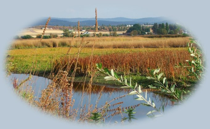autumn at wood river wetlands, one of the many birding trails in klamath basin in the pacific flyway in southern oregon and not far from crater lake national park.