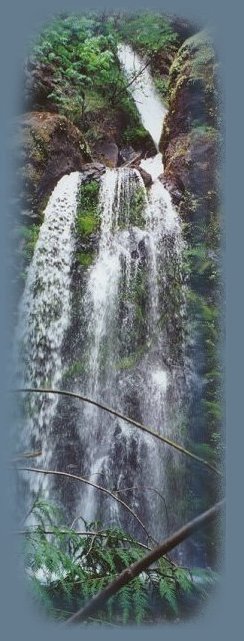 Fall creek waterfall, one of many waterfalls, on the umpqua river, a wild and scenic river, in oregon. travel oregon in the umpqua national forest, hiking trails on the wild and scenic umpqua river in the umpqua national forest in the cascade mountains of oregon. national forest campgrounds, national forest hiking trails, the umpqua national forest: waterfalls, hiking trails, hiking trails, fishing, salmon, steelhead, waterfalls, swimming, camping, picnicking on the river and at toketee and lemolo lakes, hiking the umpqua river trail from swiftwater falls to maidu lake at the source. drive one of the many wild and scenic byways, the rogue umpqua scenic byway, to crater lake national park in oregon along the wild and scenic umpqua river, one of the many wild and scenic rivers in oregon.