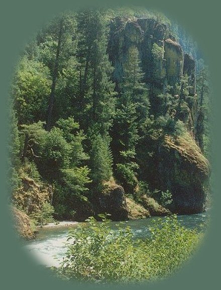 elevation rock on the wild and scenic umpqua river in the cascade mountains of oregon; enjoy camping in the umpqua national forest and hiking trails to waterfalls in the wild and scenic umpqua river watershedt: brice creek waterfalls, moon waterfalls, pinard waterfalls, spirit falls; hiking trails off the Rogue Umpqua Scenic byway on the wild and scenic umpqua river in the umpqua national forest: toketee waterfalls, watson falls hiking trails, fall creek falls, susan creek day use area, susan creek hiking trails, susan creek campgrounds off the rogue umpqua scenic byway, toketee campgrounds off the rogue umpqua scenic byway, lemolo campgrounds off the rogue umpqua scenic byway, diamond lake campgrounds, boulder creek campgrounds, canyon creek campgrounds, umpqua national forest campgrounds, clearwater falls campgroud, island campgrounds, lake in the woods campgrounds, bogus creek campgrounds, apple creek campground, steamboat falls campground, williams creek and eagle rock campgrounds, horseshoe bend and canton creek campgrounds, devil's campground on cow creek, cedar creek campground on brice creek, rujada campground on layng creek, whitehorse falls and clearwater falls campgrounds, susan creek waterfalls, north umpqua river, south umpqua river, umpqua river hiking trails accessed off the rogue umpqua scenic byway, forest service campgrounds, blm campgrounds, cavitt creek recreation area, deadline falls, steelhead in the umpqua river, angling, hiking trails to lemolo waterfalls, clearwater waterfalls, whitehorse waterfalls, clearwater river, toketee lake, umpqua hot springs, steamboat creek waterfalls, warm springs waterfalls, lemolo lake; hiking trails on the little river in the umpqua river watershed in the umpqua national forest: wolf creek waterfalls, grotto falls, hemlock waterfalls, hemlock lake, cavitt creek waterfalls, recreation area, shadow waterfalls, yakso waterfalls; hiking trails on the south umpqua river watershed: south umpqua waterfalls, campbell waterfalls, hiking trails in theboulder creek wilderness area, hiking trails in the mt thielsen rogue umpqua divide wilderness area, cathedral waterfalls off the south umpqua river; hiking trails in the row river watershed: moon, spirit and pinard waterfalls.