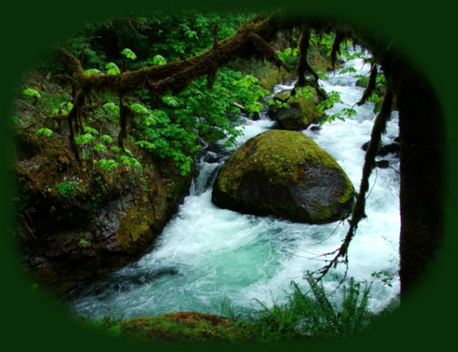 hiking along brice creek; hiking trails to waterfalls in the wild and scenic umpqua river watershed in the umpqua national forest: brice creek waterfalls, moon waterfalls, pinard waterfalls, spirit falls; hiking trails off the Rogue Umpqua Scenic byway on the wild and scenic umpqua river in the umpqua national forest: toketee waterfalls, watson falls hiking trails, fall creek falls, susan creek day use area, susan creek hiking trails, susan creek campgrounds off the rogue umpqua scenic byway, toketee campgrounds off the rogue umpqua scenic byway, lemolo campgrounds off the rogue umpqua scenic byway, diamond lake campgrounds, boulder creek campgrounds, canyon creek campgrounds, umpqua national forest campgrounds, clearwater falls campgroud, island campgrounds, lake in the woods campgrounds, bogus creek campgrounds, devil's campground on cow creek, cedar creek campground on brice creek, rujada campground on layng creek, apple creek campgrounds, whitehorse falls campground, susan creek waterfalls, north umpqua river, south umpqua river, umpqua river hiking trails accessed off the rogue umpqua scenic byway, forest service campgrounds, blm campgrounds, travel oregon through the cascade mountains, cavitt creek recreation area, deadline falls, steelhead in the umpqua river, angling, hiking trails to lemolo waterfalls, clearwater waterfalls, whitehorse waterfalls, clearwater river, toketee lake, umpqua hot springs, steamboat creek waterfalls, warm springs waterfalls, lemolo lake; hiking trails on the little river in the umpqua river watershed in the umpqua national forest: deer creek waterfalls, grotto falls, hemlock waterfalls, hemlock lake, cavitt creek waterfalls, recreation area, shadow waterfalls, yakso waterfalls; hiking trails on the south umpqua river watershed: south umpqua waterfalls, campbell waterfalls, boulder creek wilderness area, cathedral waterfalls.