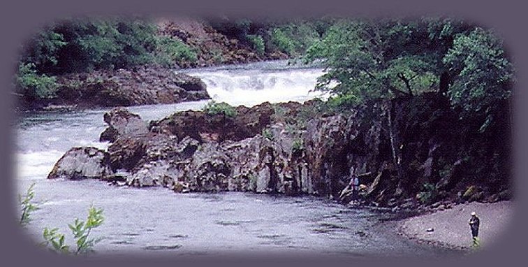 watch the salmon or fish at deadline waterfalls, class five rapids, on the wild and scenic umpqua river; enjoy camping in the umpqua national forest and hiking trails to waterfalls in the wild and scenic umpqua river watershedt: brice creek waterfalls, moon waterfalls, pinard waterfalls, spirit falls; hiking trails off the Rogue Umpqua Scenic byway on the wild and scenic umpqua river in the umpqua national forest: toketee waterfalls, watson falls hiking trails, fall creek falls, susan creek day use area, susan creek hiking trails, susan creek campgrounds off the rogue umpqua scenic byway, toketee campgrounds off the rogue umpqua scenic byway, lemolo campgrounds off the rogue umpqua scenic byway, diamond lake campgrounds, boulder creek campgrounds, canyon creek campgrounds, umpqua national forest campgrounds, clearwater falls campgroud, island campgrounds, lake in the woods campgrounds, bogus creek campgrounds, devil's campground on cow creek, cedar creek campground on brice creek, rujada campground on layng creek, apple creek campgrounds, whitehorse falls campground, susan creek waterfalls, north umpqua river, south umpqua river, umpqua river hiking trails accessed off the rogue umpqua scenic byway, forest service campgrounds, blm campgrounds, travel oregon through the cascade mountains, cavitt creek recreation area, deadline falls, steelhead in the umpqua river, angling, hiking trails to lemolo waterfalls, clearwater waterfalls, whitehorse waterfalls, clearwater river, toketee lake, umpqua hot springs, steamboat creek waterfalls, warm springs waterfalls, lemolo lake; hiking trails on the little river in the umpqua river watershed in the umpqua national forest: wolf creek waterfalls, grotto falls, hemlock waterfalls, hemlock lake, cavitt creek waterfalls, recreation area, shadow waterfalls, yakso waterfalls; hiking trails on the south umpqua river watershed: south umpqua waterfalls, campbell waterfalls, hiking trails in theboulder creek wilderness area, hiking trails in the mt thielsen rogue umpqua divide wilderness area, cathedral waterfalls off the south umpqua river; hiking trails in the row river watershed: moon, spirit and pinard waterfalls.