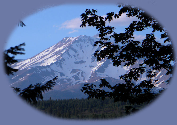 mt shasta photographed from klamath lake in the klamath basin of oregon.