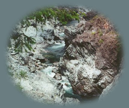 Smith River, the last major free flowing river in california, bisects jedediah smith redwoods state park and forms one of the boundaries of the stout grove, the oldest grove in all the parks.