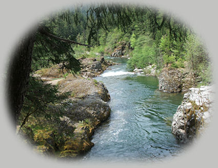 steamboat falls at steamboat campground in the umpqua national forest; enjoy camping in the umpqua national forest and hiking trails to waterfalls in the wild and scenic umpqua river watershedt: brice creek waterfalls, moon waterfalls, pinard waterfalls, spirit falls; hiking trails off the Rogue Umpqua Scenic byway on the wild and scenic umpqua river in the umpqua national forest: toketee waterfalls, watson falls hiking trails, fall creek falls, susan creek day use area, susan creek hiking trails, susan creek campgrounds off the rogue umpqua scenic byway, toketee campgrounds off the rogue umpqua scenic byway, lemolo campgrounds off the rogue umpqua scenic byway, diamond lake campgrounds, boulder creek campgrounds, canyon creek campgrounds, umpqua national forest campgrounds, clearwater falls campgroud, island campgrounds, lake in the woods campgrounds, bogus creek campgrounds, apple creek campground, steamboat falls campground, williams creek and eagle rock campgrounds, horseshoe bend and canton creek campgrounds, devil's campground on cow creek, cedar creek campground on brice creek, rujada campground on layng creek, whitehorse falls and clearwater falls campgrounds, susan creek waterfalls, north umpqua river, medicine creek native pictorgraphs, indian pictographs, south umpqua river, umpqua river hiking trails accessed off the rogue umpqua scenic byway, forest service campgrounds, blm campgrounds, cavitt creek recreation area, deadline falls, steelhead in the umpqua river, angling, hiking trails to lemolo waterfalls, clearwater waterfalls, whitehorse waterfalls, clearwater river, toketee lake, umpqua hot springs, steamboat creek waterfalls, warm springs waterfalls, lemolo lake; hiking trails on the little river in the umpqua river watershed in the umpqua national forest: wolf creek waterfalls, grotto falls, hemlock waterfalls, hemlock lake, cavitt creek waterfalls, recreation area, shadow waterfalls, yakso waterfalls; hiking trails on the south umpqua river watershed: south umpqua waterfalls, campbell waterfalls, hiking trails in the boulder creek wilderness area, hiking trails in the mt thielsen rogue umpqua divide wilderness area, old growth forests, cathedral waterfalls off the south umpqua river; hiking trails in the row river watershed: moon, spirit and pinard waterfalls.