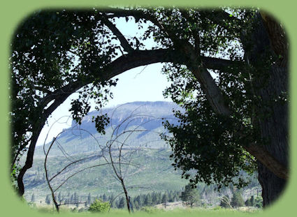 
oregon outback scenic byway: see high desert vistas, unusual volcanic features: Fort Rock, a maar, Oregon's only geyser, Old Perpetual at Lakeview, a haven for hang gliders, ancient native petroglyphs on Picture Rock Pass on Oregon Hwy 31.