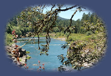 beautiful toketee waterfall on the wild and scenic umpqua river; enjoy camping in the umpqua national forest and hiking trails to waterfalls in the wild and scenic umpqua river watershedt: brice creek waterfalls, moon waterfalls, pinard waterfalls, spirit falls; hiking trails off the Rogue Umpqua Scenic byway on the wild and scenic umpqua river in the umpqua national forest: toketee waterfalls, watson falls hiking trails, fall creek falls, susan creek day use area, susan creek hiking trails, susan creek campgrounds off the rogue umpqua scenic byway, toketee campgrounds off the rogue umpqua scenic byway, lemolo campgrounds off the rogue umpqua scenic byway, diamond lake campgrounds, boulder creek campgrounds, canyon creek campgrounds, umpqua national forest campgrounds, clearwater falls campgroud, island campgrounds, lake in the woods campgrounds, bogus creek campgrounds, apple creek campground, steamboat falls campground, williams creek and eagle rock campgrounds, horseshoe bend and canton creek campgrounds, devil's campground on cow creek, cedar creek campground on brice creek, rujada campground on layng creek, whitehorse falls and clearwater falls campgrounds, susan creek waterfalls, north umpqua river, medicine creek native pictorgraphs, indian pictographs, south umpqua river, umpqua river hiking trails accessed off the rogue umpqua scenic byway, forest service campgrounds, blm campgrounds, cavitt creek recreation area, deadline falls, steelhead in the umpqua river, angling, hiking trails to lemolo waterfalls, clearwater waterfalls, whitehorse waterfalls, clearwater river, toketee lake, umpqua hot springs, steamboat creek waterfalls, warm springs waterfalls, lemolo lake; hiking trails on the little river in the umpqua river watershed in the umpqua national forest: wolf creek waterfalls, grotto falls, hemlock waterfalls, hemlock lake, cavitt creek waterfalls, recreation area, shadow waterfalls, yakso waterfalls; hiking trails on the south umpqua river watershed: south umpqua waterfalls, campbell waterfalls, hiking trails in theboulder creek wilderness area, hiking trails in the mt thielsen rogue umpqua divide wilderness area, cathedral waterfalls off the south umpqua river; hiking trails in the row river watershed: moon, spirit and pinard waterfalls.