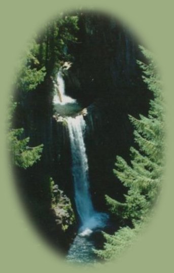 beautiful toketee waterfall on the umpqua river; enjoy camping in the umpqua national forest and hiking trails to waterfalls in the wild and scenic umpqua river watershedt: brice creek waterfalls, moon waterfalls, pinard waterfalls, spirit falls; hiking trails off the Rogue Umpqua Scenic byway on the wild and scenic umpqua river in the umpqua national forest: toketee waterfalls, watson falls hiking trails, fall creek falls, susan creek day use area, susan creek hiking trails, susan creek campgrounds off the rogue umpqua scenic byway, toketee campgrounds off the rogue umpqua scenic byway, lemolo campgrounds off the rogue umpqua scenic byway, diamond lake campgrounds, boulder creek campgrounds, canyon creek campgrounds, umpqua national forest campgrounds, clearwater falls campgroud, island campgrounds, lake in the woods campgrounds, bogus creek campgrounds, apple creek campground, steamboat falls campground, williams creek and eagle rock campgrounds, horseshoe bend and canton creek campgrounds, devil's campground on cow creek, cedar creek campground on brice creek, rujada campground on layng creek, whitehorse falls and clearwater falls campgrounds, susan creek waterfalls, north umpqua river, medicine creek native pictorgraphs, indian pictographs, south umpqua river, umpqua river hiking trails accessed off the rogue umpqua scenic byway, forest service campgrounds, blm campgrounds, cavitt creek recreation area, deadline falls, steelhead in the umpqua river, angling, hiking trails to lemolo waterfalls, clearwater waterfalls, whitehorse waterfalls, clearwater river, toketee lake, umpqua hot springs, steamboat creek waterfalls, warm springs waterfalls, lemolo lake; hiking trails on the little river in the umpqua river watershed in the umpqua national forest: wolf creek waterfalls, grotto falls, hemlock waterfalls, hemlock lake, cavitt creek waterfalls, recreation area, shadow waterfalls, yakso waterfalls; hiking trails on the south umpqua river watershed: south umpqua waterfalls, campbell waterfalls, hiking trails in the boulder creek wilderness area, hiking trails in the mt thielsen rogue umpqua divide wilderness area, old growth forests, cathedral waterfalls off the south umpqua river; hiking trails in the row river watershed: moon, spirit and pinard waterfalls.