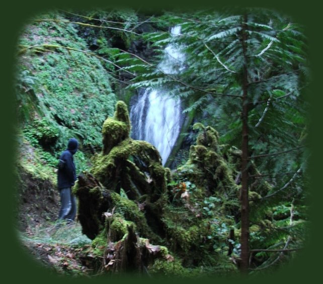 hiking along brice creek; hiking trails to waterfalls in the wild and scenic umpqua river watershed in the umpqua national forest: brice creek waterfalls, moon waterfalls, pinard waterfalls, spirit falls; hiking trails off the Rogue Umpqua Scenic byway on the wild and scenic umpqua river in the umpqua national forest: toketee waterfalls, watson falls hiking trails, fall creek falls, susan creek day use area, susan creek hiking trails, susan creek campgrounds off the rogue umpqua scenic byway, toketee campgrounds off the rogue umpqua scenic byway, lemolo campgrounds off the rogue umpqua scenic byway, diamond lake campgrounds, boulder creek campgrounds, canyon creek campgrounds, umpqua national forest campgrounds, clearwater falls campgroud, island campgrounds, lake in the woods campgrounds, bogus creek campgrounds, devil's campground on cow creek, cedar creek campground on brice creek, rujada campground on layng creek, apple creek campgrounds, whitehorse falls campground, susan creek waterfalls, north umpqua river, south umpqua river, umpqua river hiking trails accessed off the rogue umpqua scenic byway, forest service campgrounds, blm campgrounds, travel oregon through the cascade mountains, cavitt creek recreation area, deadline falls, steelhead in the umpqua river, angling, hiking trails to lemolo waterfalls, clearwater waterfalls, whitehorse waterfalls, clearwater river, toketee lake, umpqua hot springs, steamboat creek waterfalls, warm springs waterfalls, lemolo lake; hiking trails on the little river in the umpqua river watershed in the umpqua national forest: deer creek waterfalls, grotto falls, hemlock waterfalls, hemlock lake, cavitt creek waterfalls, recreation area, shadow waterfalls, yakso waterfalls; hiking trails on the south umpqua river watershed: south umpqua waterfalls, campbell waterfalls, boulder creek wilderness area, cathedral waterfalls.